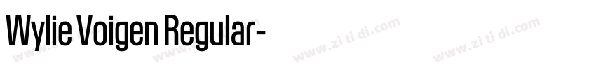 Wylie Voigen Regular字体转换